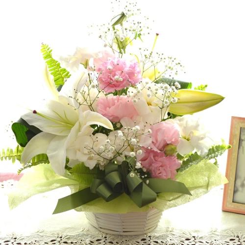 �������p�A�����W�����g�@�m�ԁ@�@��с@�i�����ƃg���R�L�L���E�̃t�����[�A�����W�������g�j�@�@���n�@�������A������݁A���~�A���ފ݁A�����A�@���A����