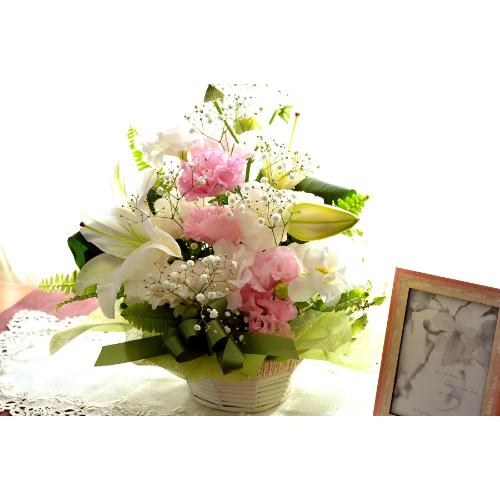 �������p�A�����W�����g�@�m�ԁ@�@��с@�i�����ƃg���R�L�L���E�̃t�����[�A�����W�������g�j�@�@���n�@�������A������݁A���~�A���ފ݁A�����A�@���A����3