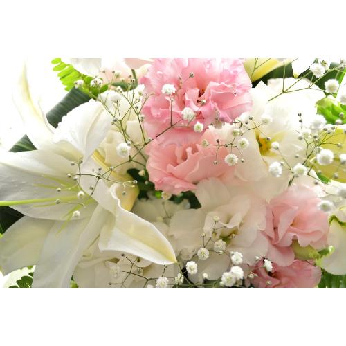 �������p�A�����W�����g�@�m�ԁ@�@��с@�i�����ƃg���R�L�L���E�̃t�����[�A�����W�������g�j�@�@���n�@�������A������݁A���~�A���ފ݁A�����A�@���A����4