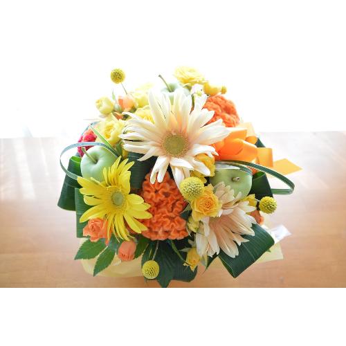 �L���[�g�ȃA�����W�@SoftYellow�@�i���[�ׂ�Ƃ����o���̃t�����[�A�����W�����g�j���F�n�@���a�����A�����L�O���A���j���A�h�V�̓�2