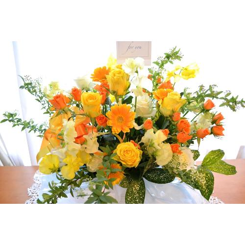 �A���x�X�N�@�i�o���ƃK�[�x���̃t�����[�A�����W�����g�j�C�G���[�I�����W�n�@�a�����A�����L�O���A���j���A�J�X�A�J�ƁA���\��4