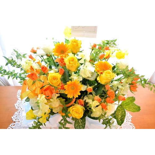 �A���x�X�N�@�i�o���ƃK�[�x���̃t�����[�A�����W�����g�j�C�G���[�I�����W�n�@�a�����A�����L�O���A���j���A�J�X�A�J�ƁA���\��5