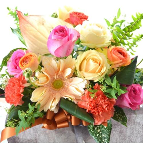 ��l�̃A�����W�����g�@HappyDress�@�i�o���ƃK�[�x���̃t�����[�A�����W�����g�jMix�J���[�@�a�����A�����L�O���A���j��