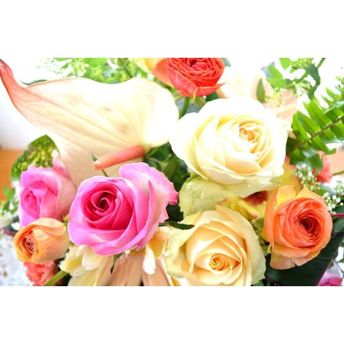 ��l�̃A�����W�����g�@HappyDress�@�i�o���ƃK�[�x���̃t�����[�A�����W�����g�jMix�J���[�@�a�����A�����L�O���A���j��5