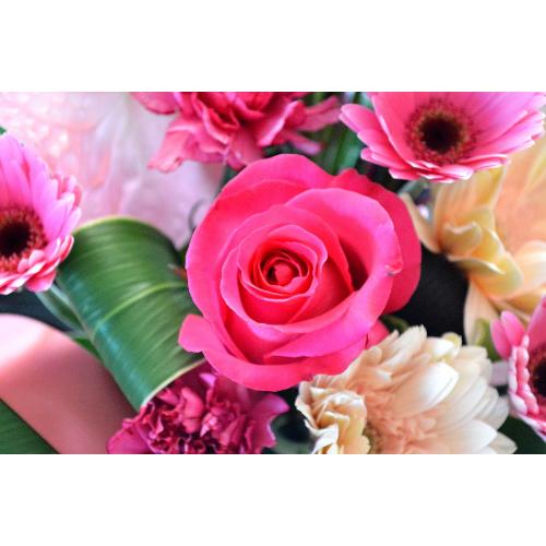��l�̃A�����W�����g�@DollAction�@�i�o���ƃK�[�x���̃t�����[�A�����W�����g�j�s���N�n�@�a�����A�����L�O���A���j��5