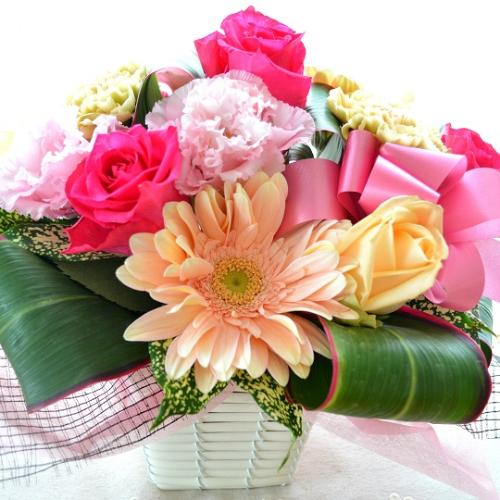 ��l�̃A�����W�@AnniversaryPink