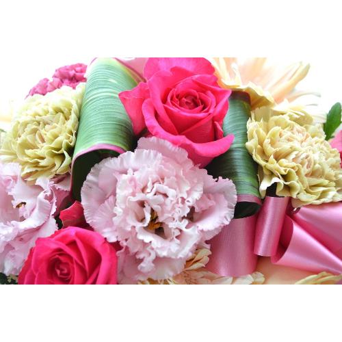 ��l�̃A�����W�@AnniversaryPink4