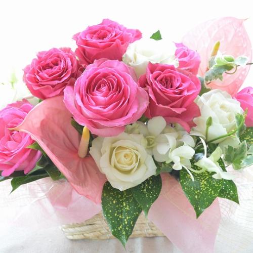��l�̃A�����W�����g�@RoseAngel�@�i�o���̃t�����[�A�����W�����g�j�s���N�n�@�a�����A�����L�O���A���j��