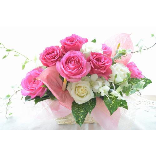 ��l�̃A�����W�����g�@RoseAngel�@�i�o���̃t�����[�A�����W�����g�j�s���N�n�@�a�����A�����L�O���A���j��2