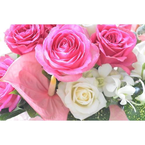 ��l�̃A�����W�����g�@RoseAngel�@�i�o���̃t�����[�A�����W�����g�j�s���N�n�@�a�����A�����L�O���A���j��4