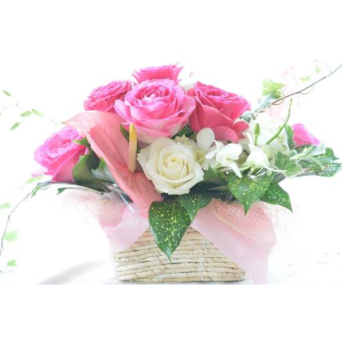 ��l�̃A�����W�����g�@RoseAngel�@�i�o���̃t�����[�A�����W�����g�j�s���N�n�@�a�����A�����L�O���A���j��5