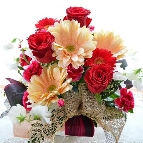 ��l�̃A�����W�@RedPeach�@�i�o���̃t�����[�A�����W�����g�j�Ԍn�@�a�����A�����L�O���A���j���A�h�V�̓�