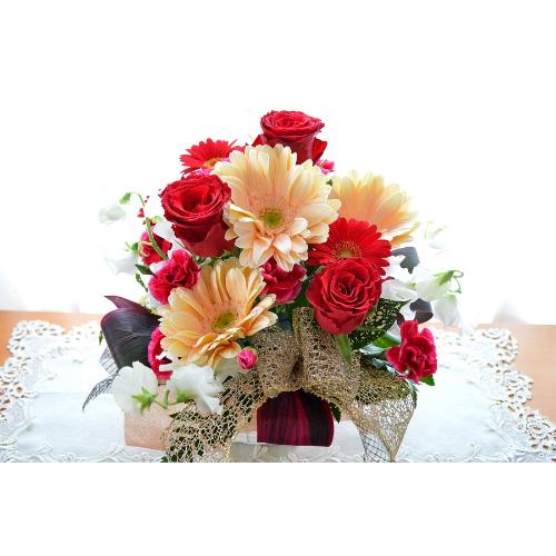 ��l�̃A�����W�@RedPeach�@�i�o���̃t�����[�A�����W�����g�j�Ԍn�@�a�����A�����L�O���A���j���A�h�V�̓�2
