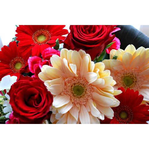 ��l�̃A�����W�@RedPeach�@�i�o���̃t�����[�A�����W�����g�j�Ԍn�@�a�����A�����L�O���A���j���A�h�V�̓�5