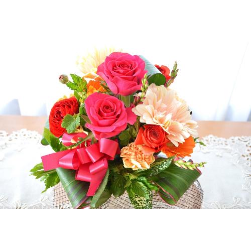 �v�`�ґ�ȃA�����W�@GirlsCollection�@(�o���ƃK�[�x���̃t�����[�A�����W�����g�j�s���N�n�@���a�����A�����L�O���A���j���A�h�V�̓�2