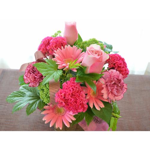 �v�`�ґ�ȃA�����W�@PinkViola�@(�o���ƃK�[�x���̃t�����[�A�����W�����g�j�@�s���N�n�@�a�����A�����L�O���A���j���A���\��A�R���T�[�g�A���C�u2