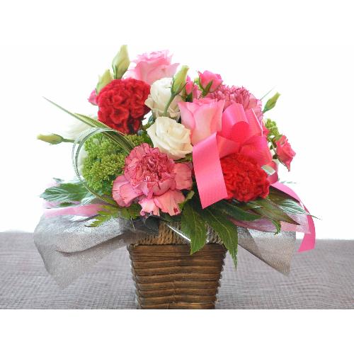 �v�`�ґ�ȃA�����W�@PinkEnergy�@(�o���̃t�����[�A�����W�����g�j�s���N�n�@�a�����A�����L�O���A���j���A�h�V�̓�3