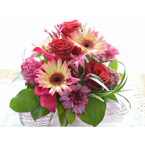 �v�`�ґ�ȃA�����W�����g�@AngelVoice�@(�o���ƃK�[�x���̃t�����[�A�����W�����g�j�Ԍn�@�a�����A�����L�O���A���j��2