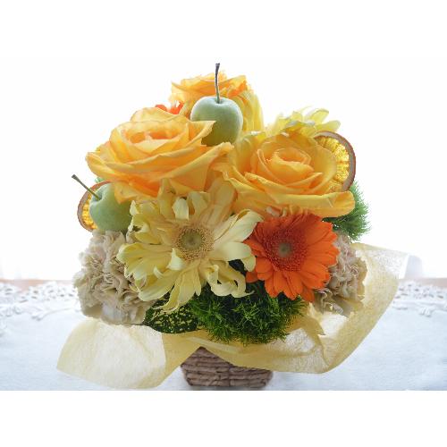 �v�`�ґ�ȃA�����W�@AppleOrange�@�i�o���ƃK�[�x���̃t�����[�A�����W�������g�j�C�G���[�I�����W�n�@�a�����A�����L�O���A���j��3