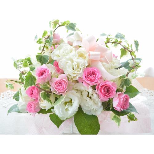 �v�`�ґ�ȃA�����W�@WhiteGirl�@�i�g���R�L�L���E�̃t�����[�A�����W�����g�j���n�@�a�����A�����L�O���A���j��2