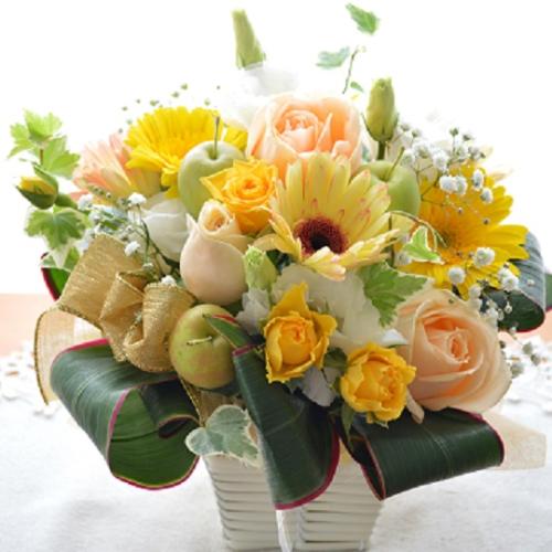 �L���[�g�ȃA�����W�@FeatherYellow�@�i�K�[�x���̃t�����[�A�����W�����g�j�C�G���[�I�����W�n�@�a�����A�����L�O���A���j��