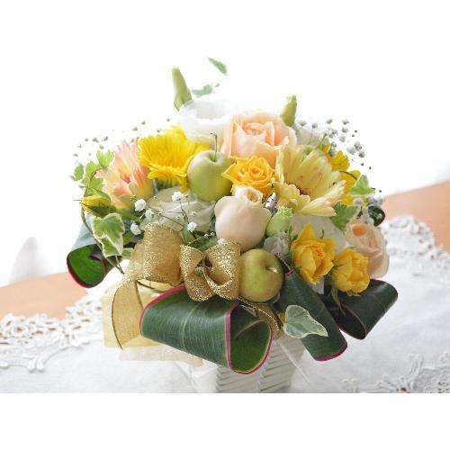 �L���[�g�ȃA�����W�@FeatherYellow�@�i�K�[�x���̃t�����[�A�����W�����g�j�C�G���[�I�����W�n�@�a�����A�����L�O���A���j��3