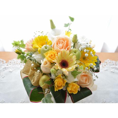 �L���[�g�ȃA�����W�@FeatherYellow�@�i�K�[�x���̃t�����[�A�����W�����g�j�C�G���[�I�����W�n�@�a�����A�����L�O���A���j��4