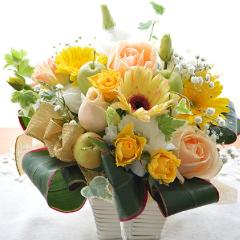 �L���[�g�ȃA�����W�@FeatherYellow�@�i�K�[�x���̃t�����[�A�����W�����g�j�C�G���[�I�����W�n�@�a�����A�����L�O���A���j��