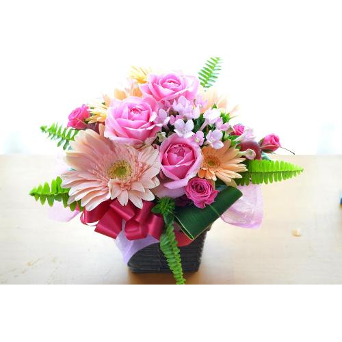 �L���[�g�ȃA�����W�����g�@�o������Select�@�i�o���ƃK�[�x���̃t�����[�A�����W�����g�j�s���N�n�@���a�����A�����L�O���A���j���A�h�V�̓�2