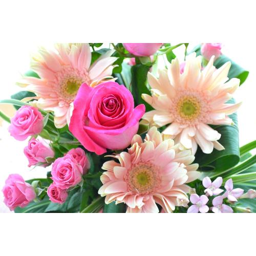 �L���[�g�ȃA�����W�����g�@PinkSun�@�i�o���ƃK�[�x���̃t�����[�A�����W�����g�j�s���N�n�@���a�����A���������A���j���A�h�V�̓�5