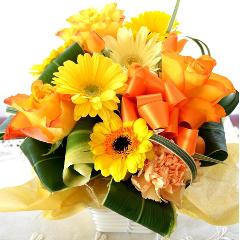 �L���[�g�ȃA�����W�@Orange�@Tart�@�i�o���ƃK�[�x���̃t�����[�A�����W�����g�j���F�I�����W�n�@���a�����A�����L�O���A���j���A�h�V�̓�