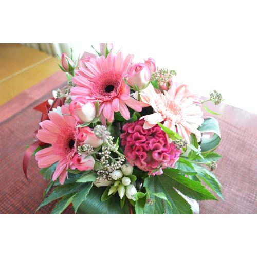 �L���[�g�ȃA�����W �@PinkMelody�@(�o���ƃK�[�x���̃t�����[�A�����W�����g�j�@�s���N�n�@�a�����A�����L�O���A���j���A���\��A�R���T�[�g�A���C�u4