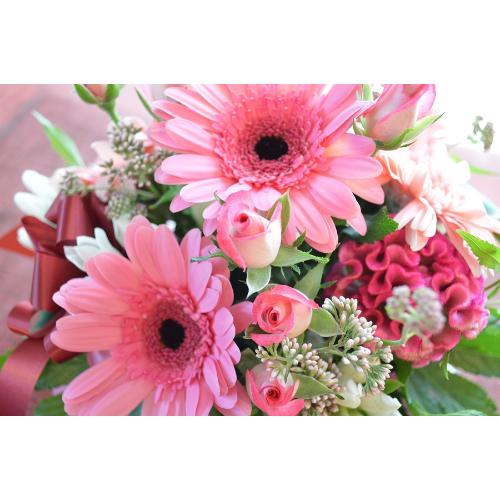 �L���[�g�ȃA�����W �@PinkMelody�@(�o���ƃK�[�x���̃t�����[�A�����W�����g�j�@�s���N�n�@�a�����A�����L�O���A���j���A���\��A�R���T�[�g�A���C�u5