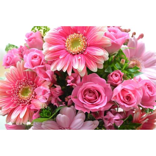 �L���[�g�ȃA�����W�����g�@PinkSurprise�@(�K�[�x���̃t�����[�A�����W�����g�j�s���N�n �a�����A�����L�O���A���j���A�h�V�̓�5
