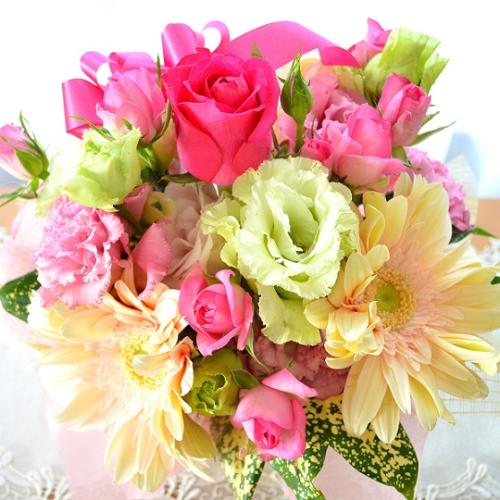 �L���[�g�ȃA�����W�@PureHeart�@�i�K�[�x���̃t�����[�A�����W�����g�j�s���N�n�@�a�����A�����L�O���A���j���A���\��A�R���T�[�g�A���C�u