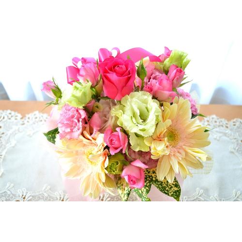�L���[�g�ȃA�����W�@PureHeart�@�i�K�[�x���̃t�����[�A�����W�����g�j�s���N�n�@�a�����A�����L�O���A���j���A���\��A�R���T�[�g�A���C�u2