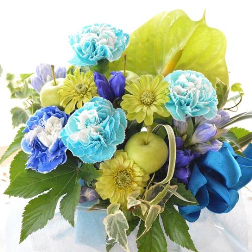 �L���[�g�ȃA�����W�@GreenBlue�@�i�J�[�l�[�V�����̃t�����[�A�����W�����g�j�u���[�n�@�a�����A�����L�O���A���j���A���\��A�R���T�[�g�A���C�u