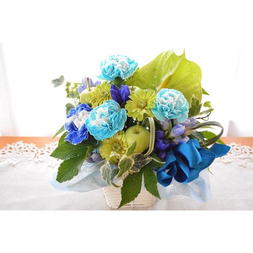 �L���[�g�ȃA�����W�@GreenBlue�@�i�J�[�l�[�V�����̃t�����[�A�����W�����g�j�u���[�n�@�a�����A�����L�O���A���j���A���\��A�R���T�[�g�A���C�u4