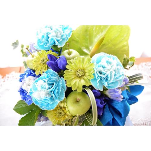 �L���[�g�ȃA�����W�@GreenBlue�@�i�J�[�l�[�V�����̃t�����[�A�����W�����g�j�u���[�n�@�a�����A�����L�O���A���j���A���\��A�R���T�[�g�A���C�u5