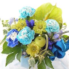 �L���[�g�ȃA�����W�@GreenBlue�@�i�J�[�l�[�V�����̃t�����[�A�����W�����g�j�u���[�n�@�a�����A�����L�O���A���j���A���\��A�R���T�[�g�A���C�u