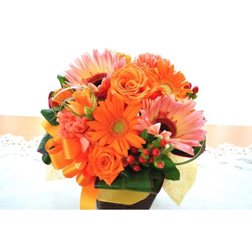 �L���[�g�ȃA�����W�@OrangeDance�@�i�o���ƃK�[�x���̃t�����[�A�����W�����g�j�C�G���[�I�����W�n�@���a�����A�����L�O���A���j���A�h�V�̓�2