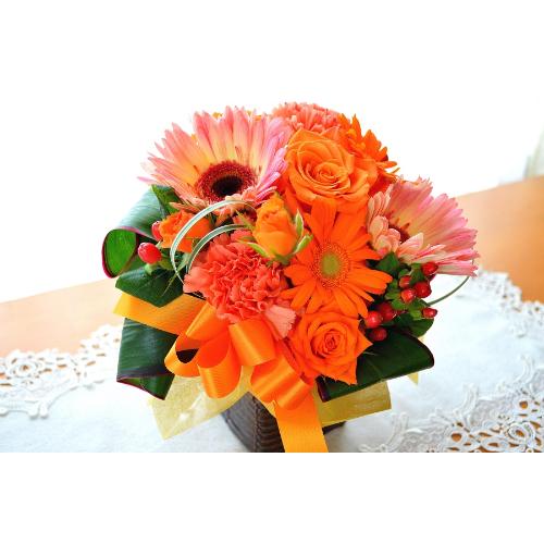 �L���[�g�ȃA�����W�@OrangeDance�@�i�o���ƃK�[�x���̃t�����[�A�����W�����g�j�C�G���[�I�����W�n�@���a�����A�����L�O���A���j���A�h�V�̓�3