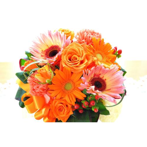 �L���[�g�ȃA�����W�@OrangeDance�@�i�o���ƃK�[�x���̃t�����[�A�����W�����g�j�C�G���[�I�����W�n�@���a�����A�����L�O���A���j���A�h�V�̓�4