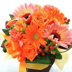 �L���[�g�ȃA�����W�@OrangeDance�@�i�o���ƃK�[�x���̃t�����[�A�����W�����g�j�C�G���[�I�����W�n�@���a�����A�����L�O���A���j���A�h�V�̓�