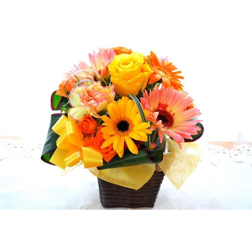 �L���[�g�ȃA�����W�@YellowDance�i�o���ƃK�[�x���̃t�����[�A�����W�����g�j���F�I�����W�n�@�a�����A�����L�O���A���j���A�h�V�̓�3