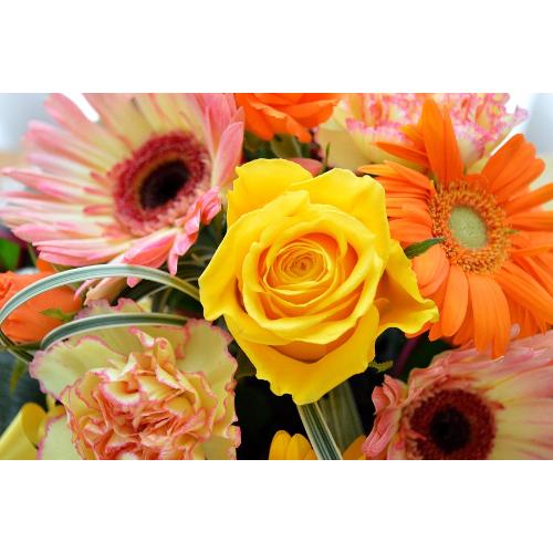 �L���[�g�ȃA�����W�@YellowDance�i�o���ƃK�[�x���̃t�����[�A�����W�����g�j���F�I�����W�n�@�a�����A�����L�O���A���j���A�h�V�̓�5