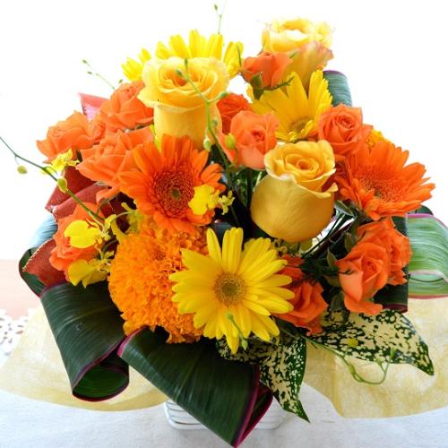 �v�`�ґ�ȃA�����W�@HighOrange�@�i�o���ƃK�[�x���̃t�����[�A�����W�����g�j�I�����W�n�@�a�����A�����L�O���A���j���A�h�V�̓�