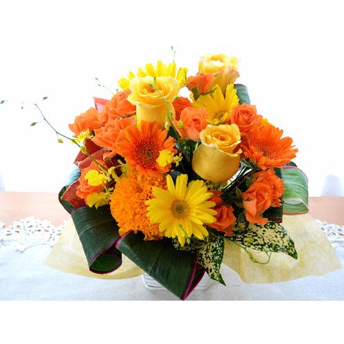 �v�`�ґ�ȃA�����W�@HighOrange�@�i�o���ƃK�[�x���̃t�����[�A�����W�����g�j�I�����W�n�@�a�����A�����L�O���A���j���A�h�V�̓�2