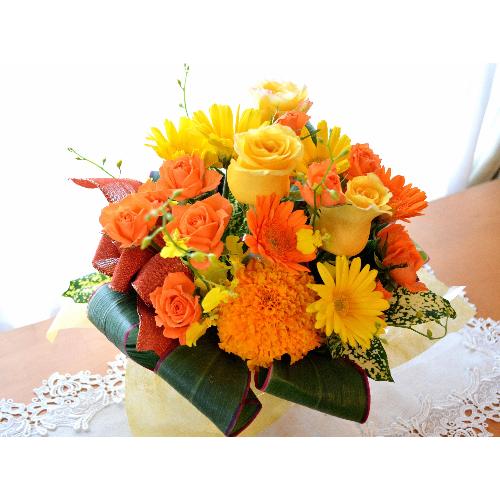 �v�`�ґ�ȃA�����W�@HighOrange�@�i�o���ƃK�[�x���̃t�����[�A�����W�����g�j�I�����W�n�@�a�����A�����L�O���A���j���A�h�V�̓�3