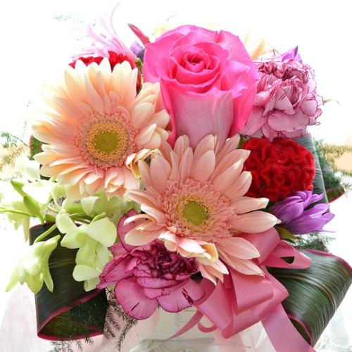 �L���[�g�ȃA�����W�@PinkSky�@�i�o���ƃK�[�x���̃t�����[�A�����W�����g�j�s���N�n�@�a�����A�����L�O���A���j���A�h�V�̓�